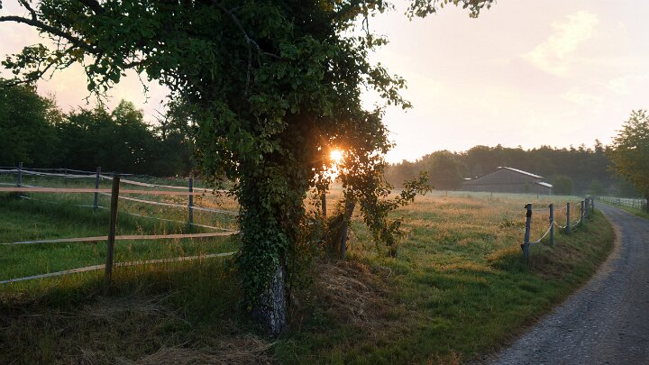 Horst Pfrommer Fotografie | Calw | Altburg | Spindlershof